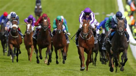 union jack trixie calculator|Trixie Bet Calculator .